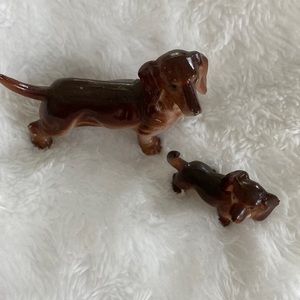 dachshund wiener dogs